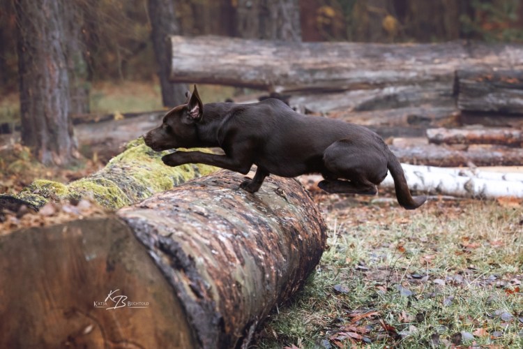 August (Gustl) vom Ebrachtal