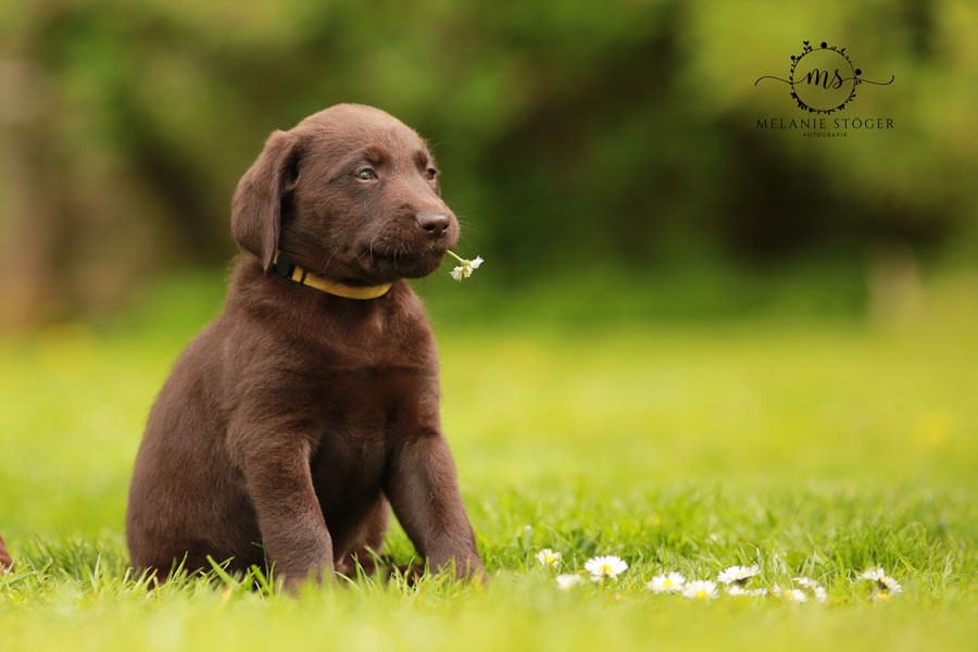 Fotoshooting – Photo&nbsp;shooting