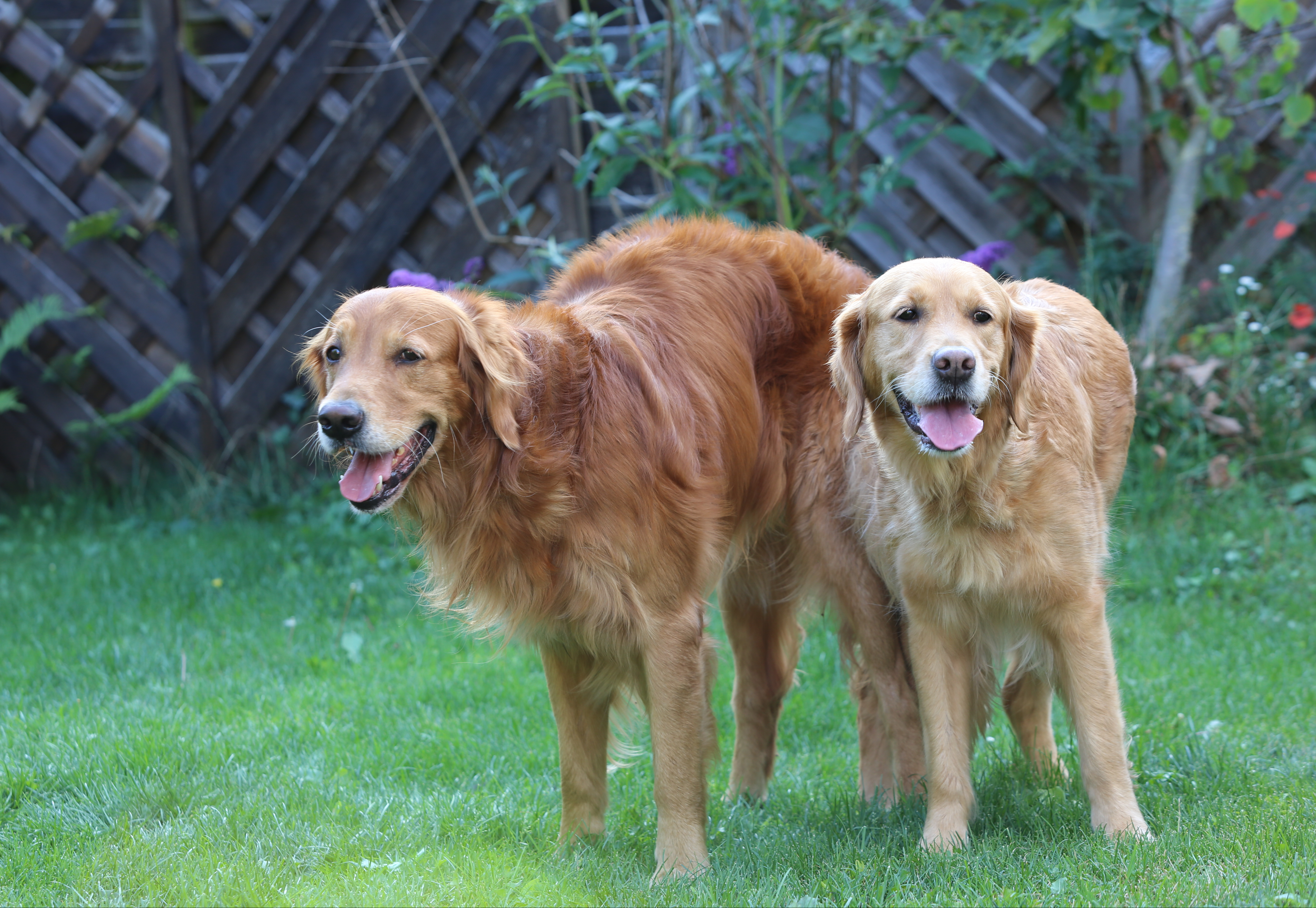 Shila und Phinegean - es ist vollbracht