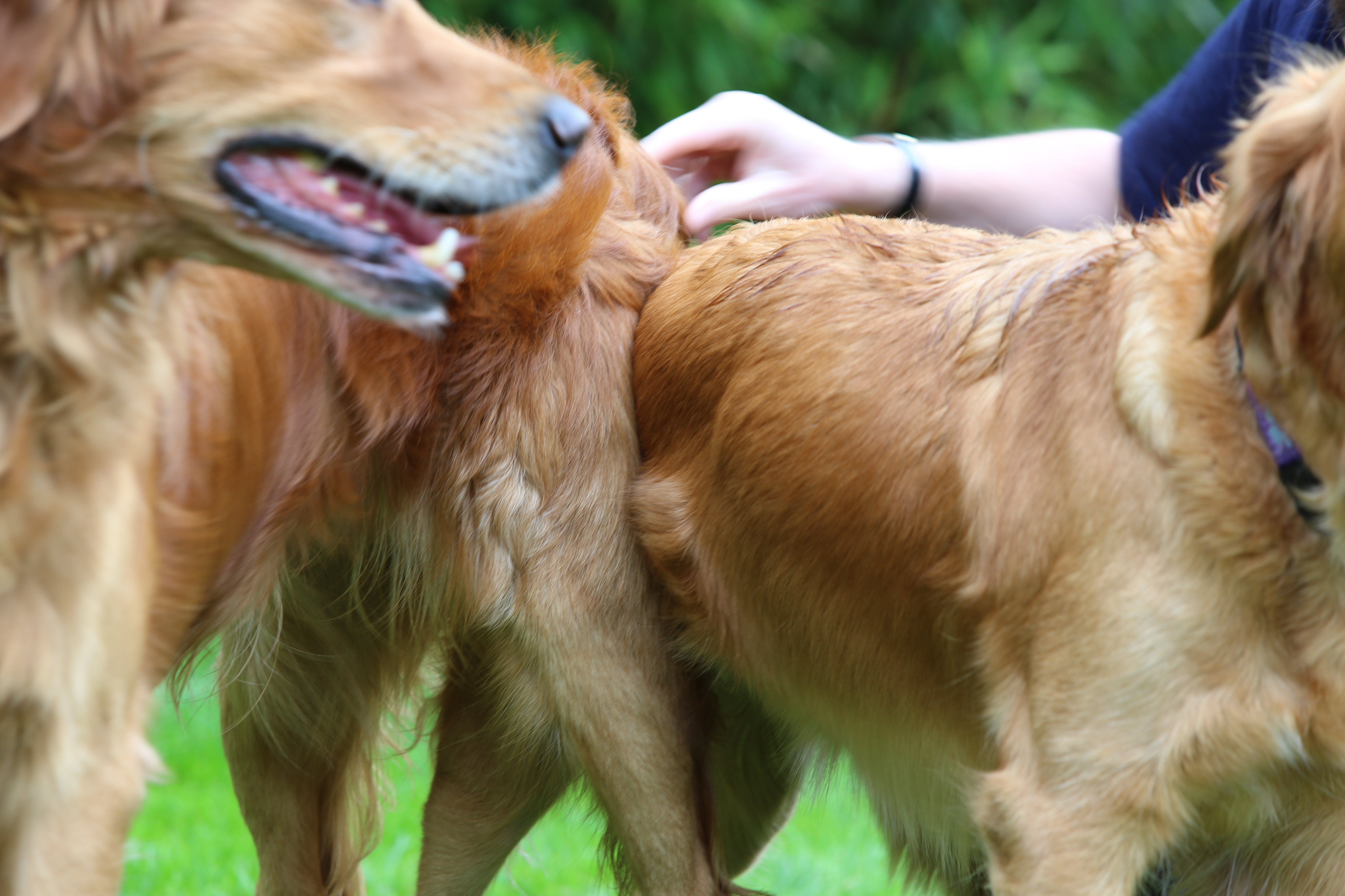 Gwendy und Phinegean - es ist vollbracht