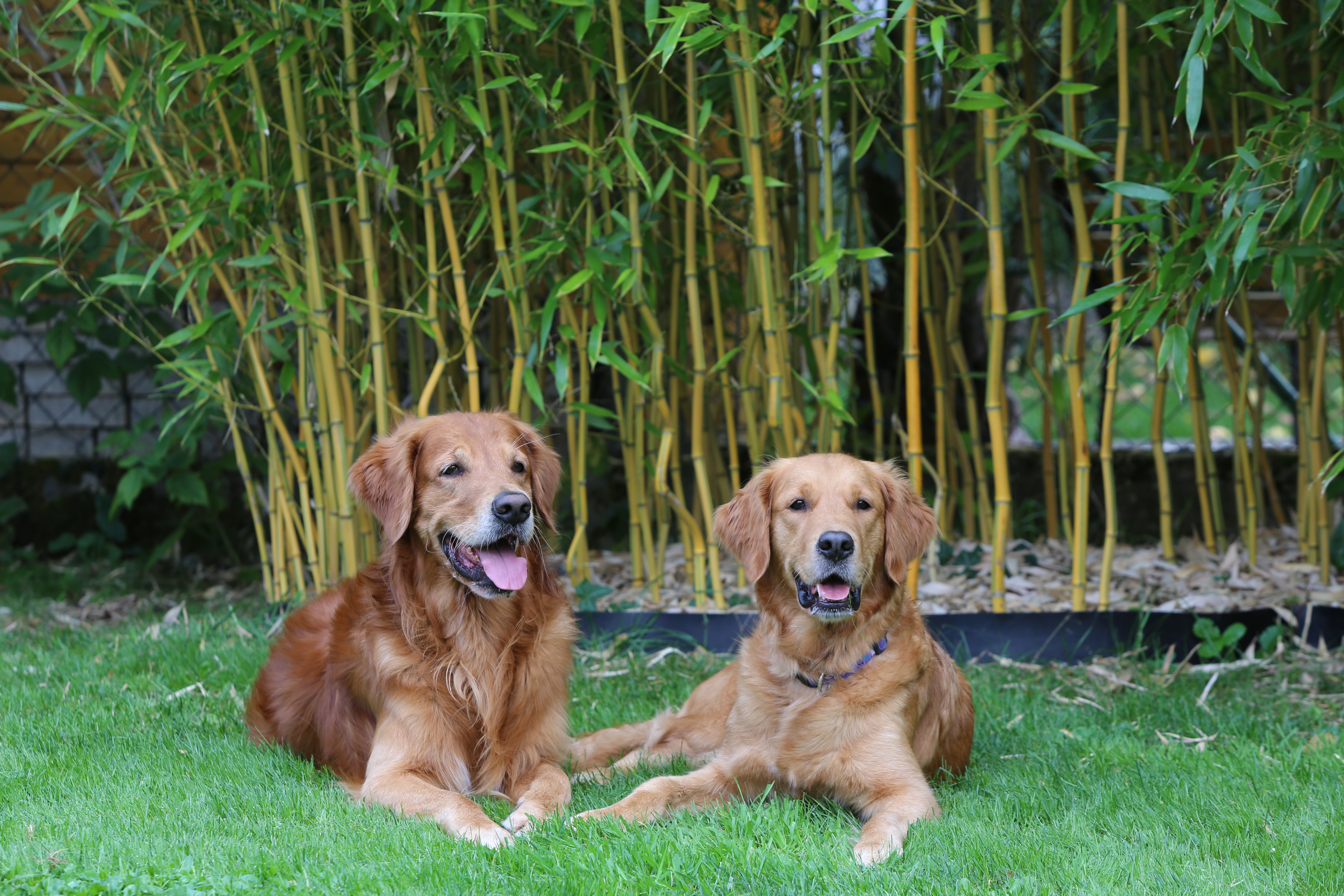 Gwendy und Phinegean