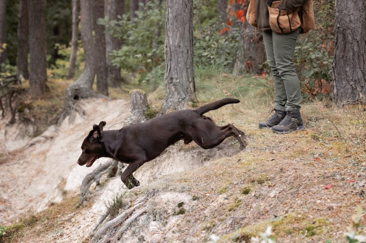 August (Gustl) vom Ebrachtal - Oktober 2021