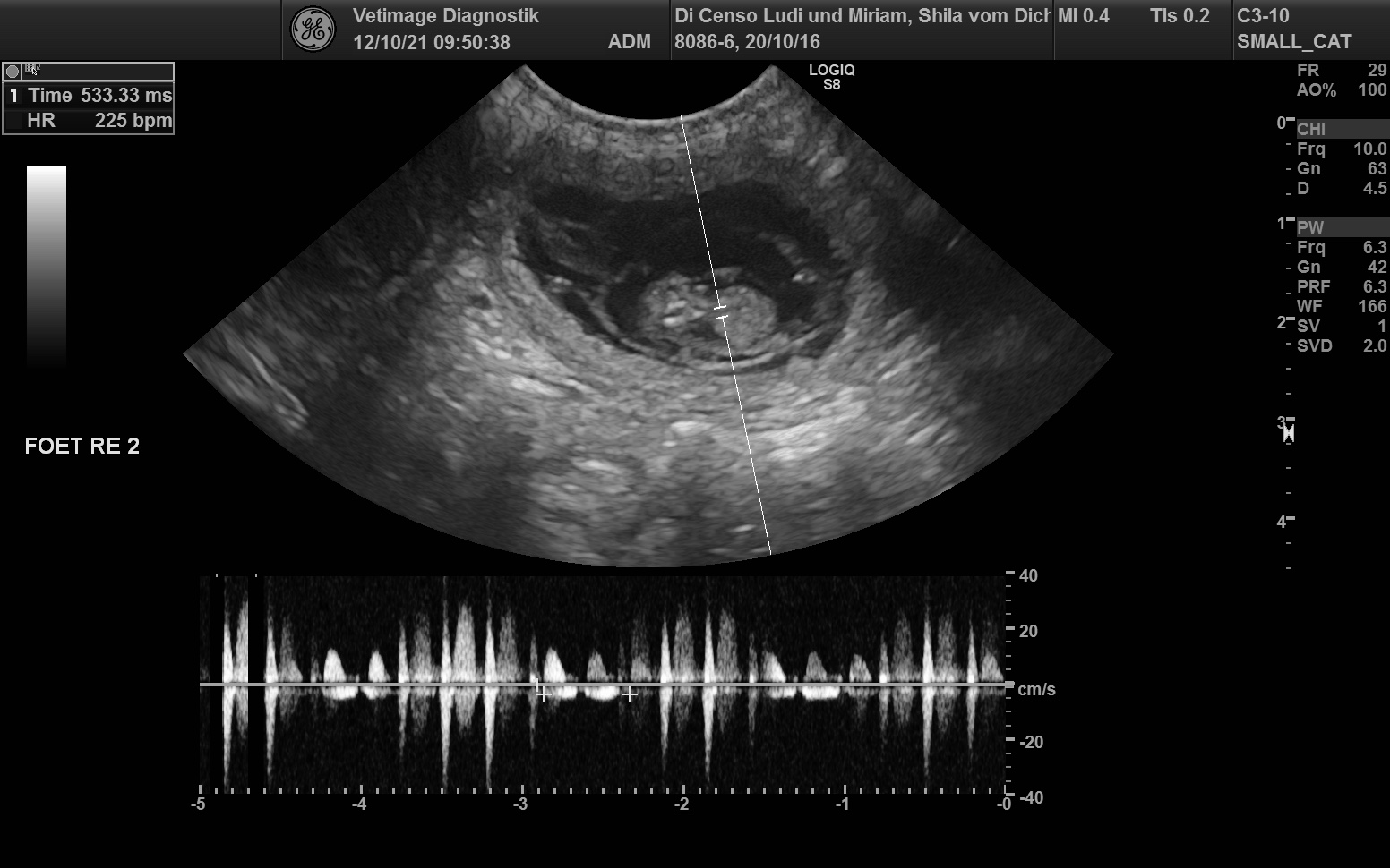 Erstes Bild von Phinegean's Kindern