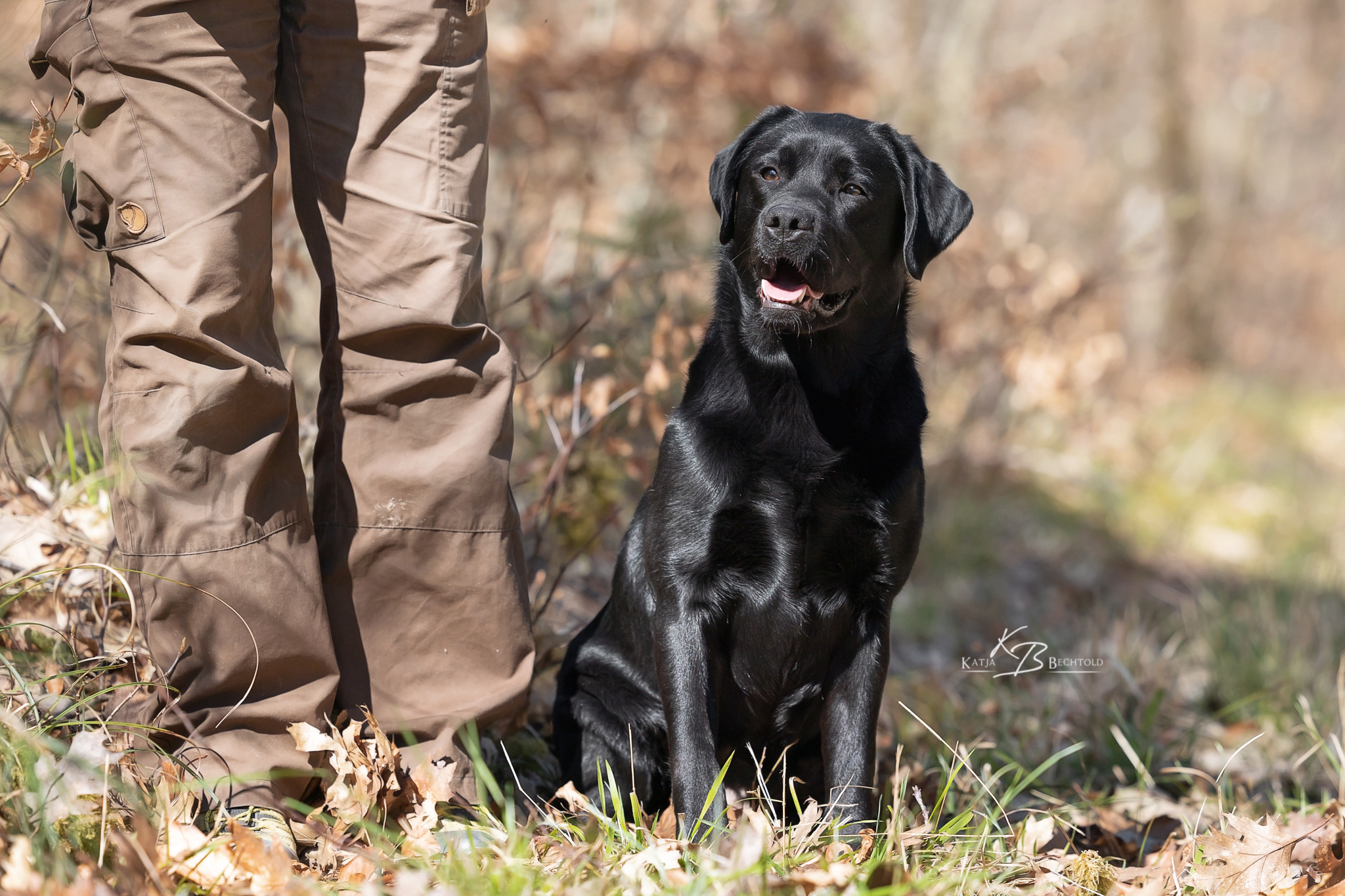 Absolute Classic Tinkerbell "Maja" (19 Monate alt)