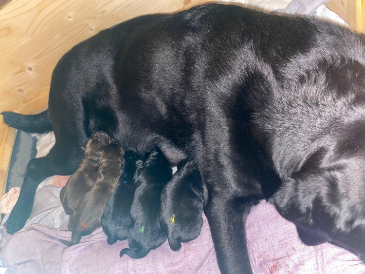 Gustl und Malea / Gustl and&nbsp;Malea