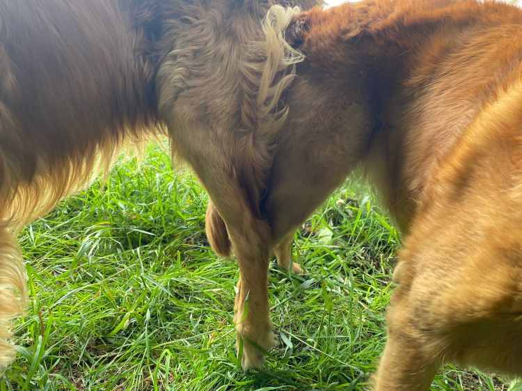 Es ist immer wieder ein wundervolles Erlebnis / It is always a wonderful&nbsp;experience