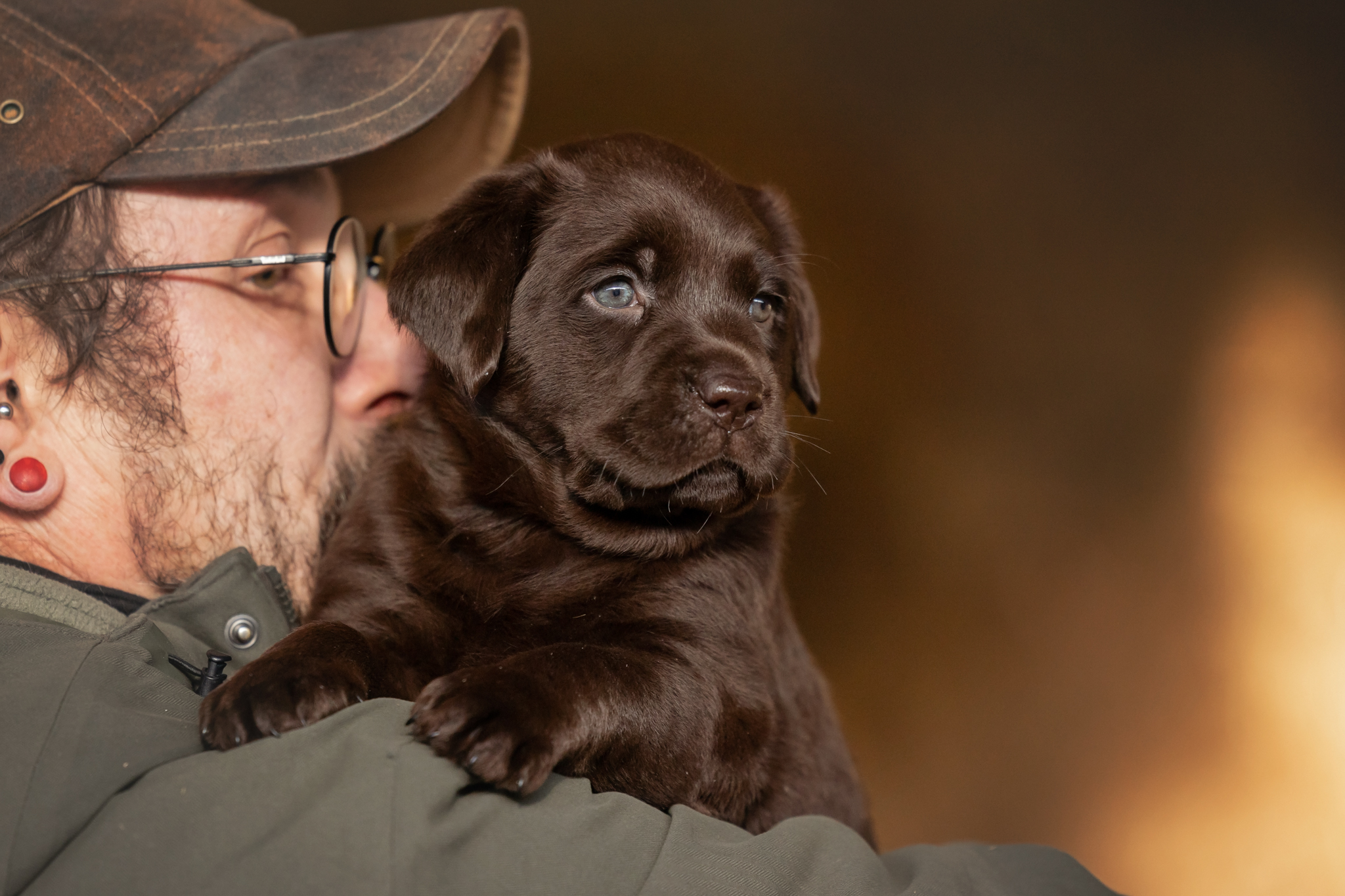 Flying Huntsman Labrador A-Wurf - Abby (K. Bechthold)