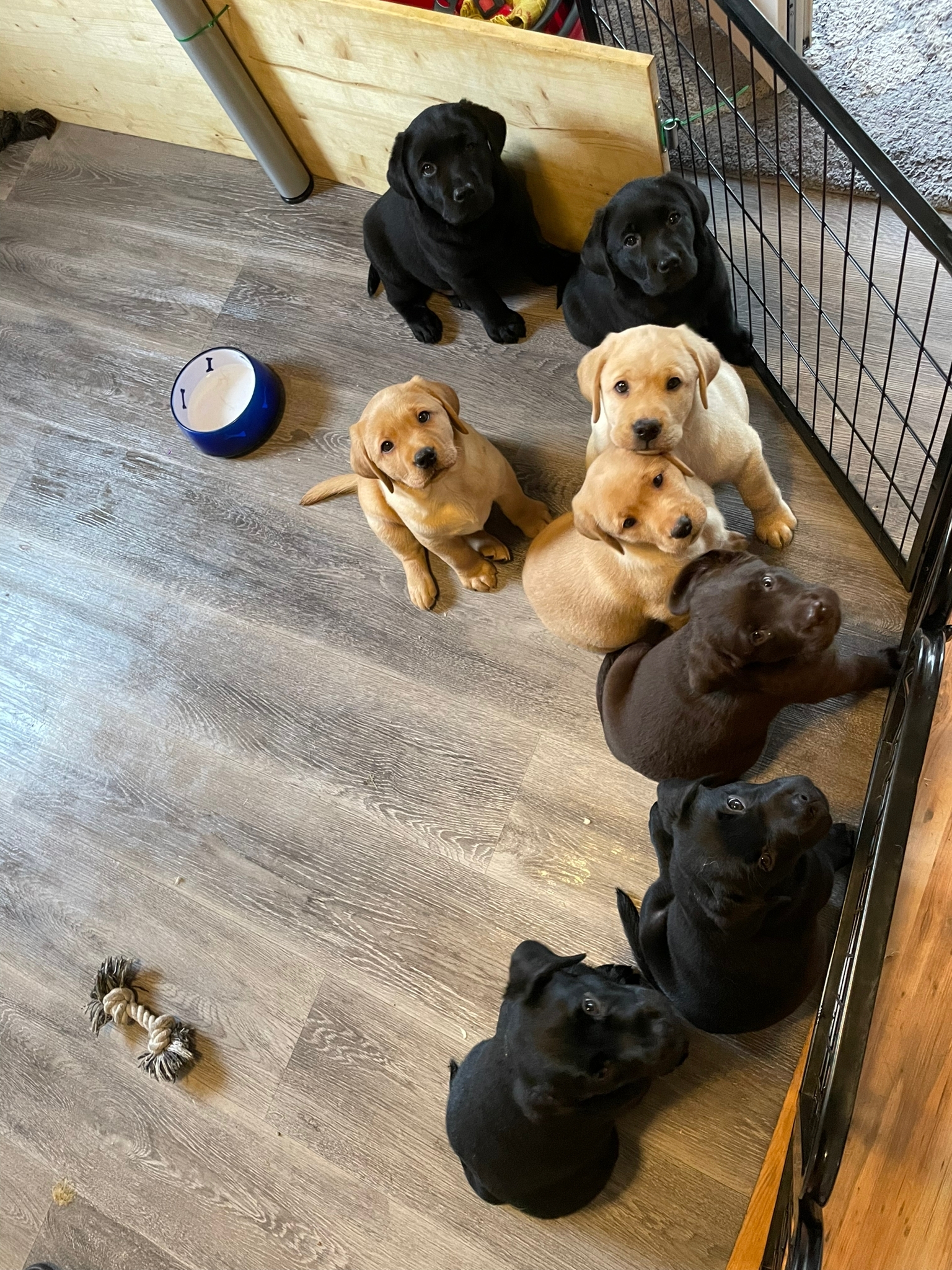 Wir warten schon mal aufs abholen - dauert ja nicht mehr lange