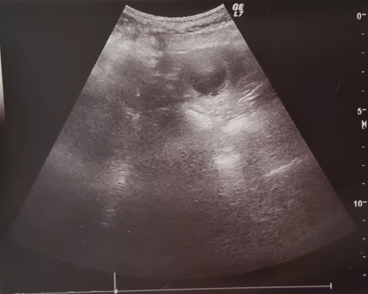 Das erste Bild vom C-Wurf