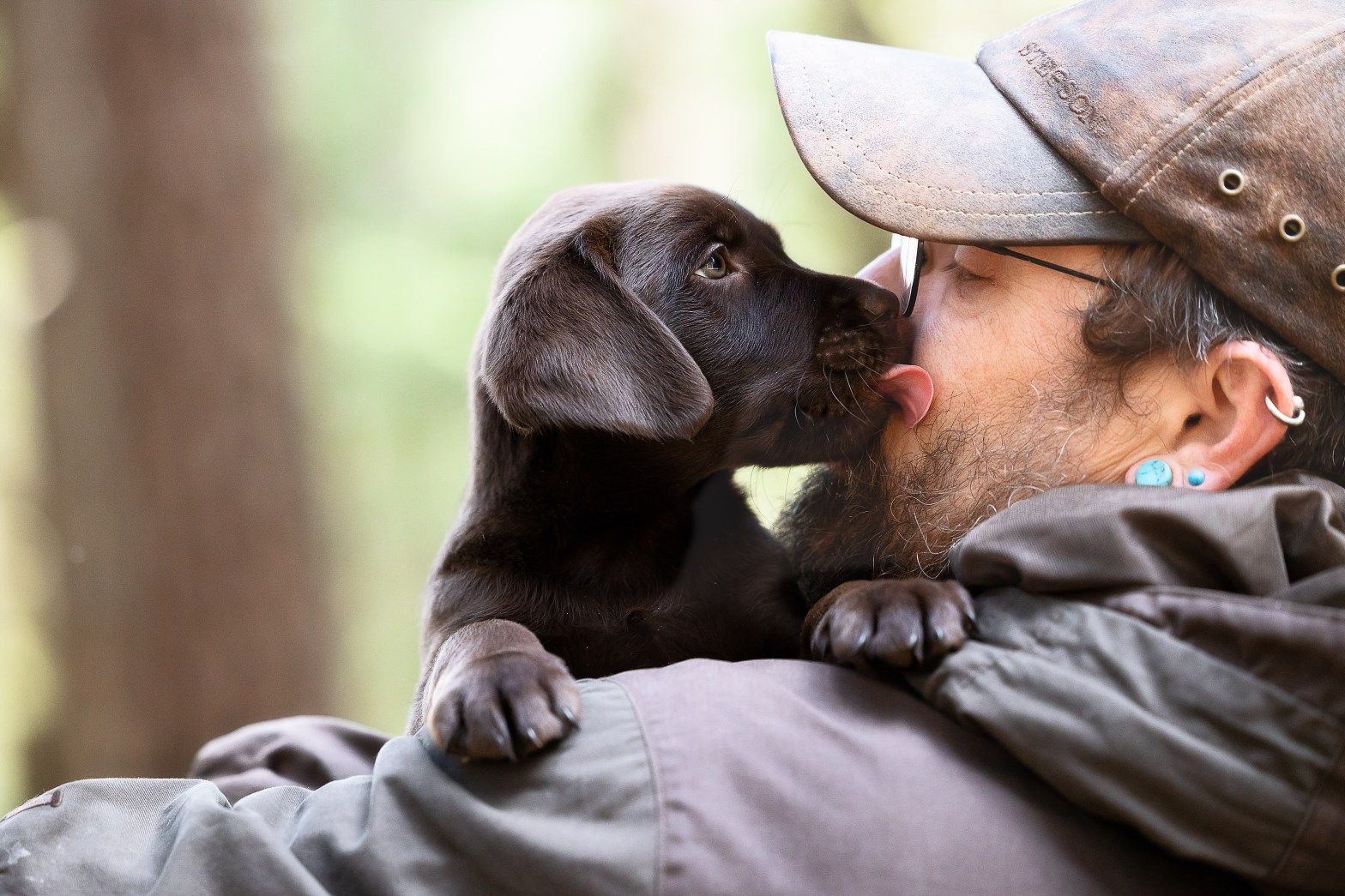 Flying Huntsman Labrador B-Wurf Brösel