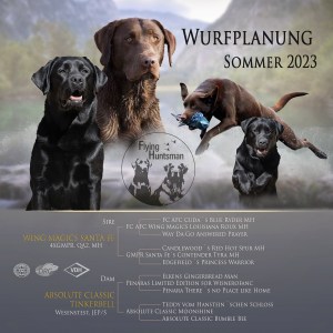 Flying Huntsman C-Wurf