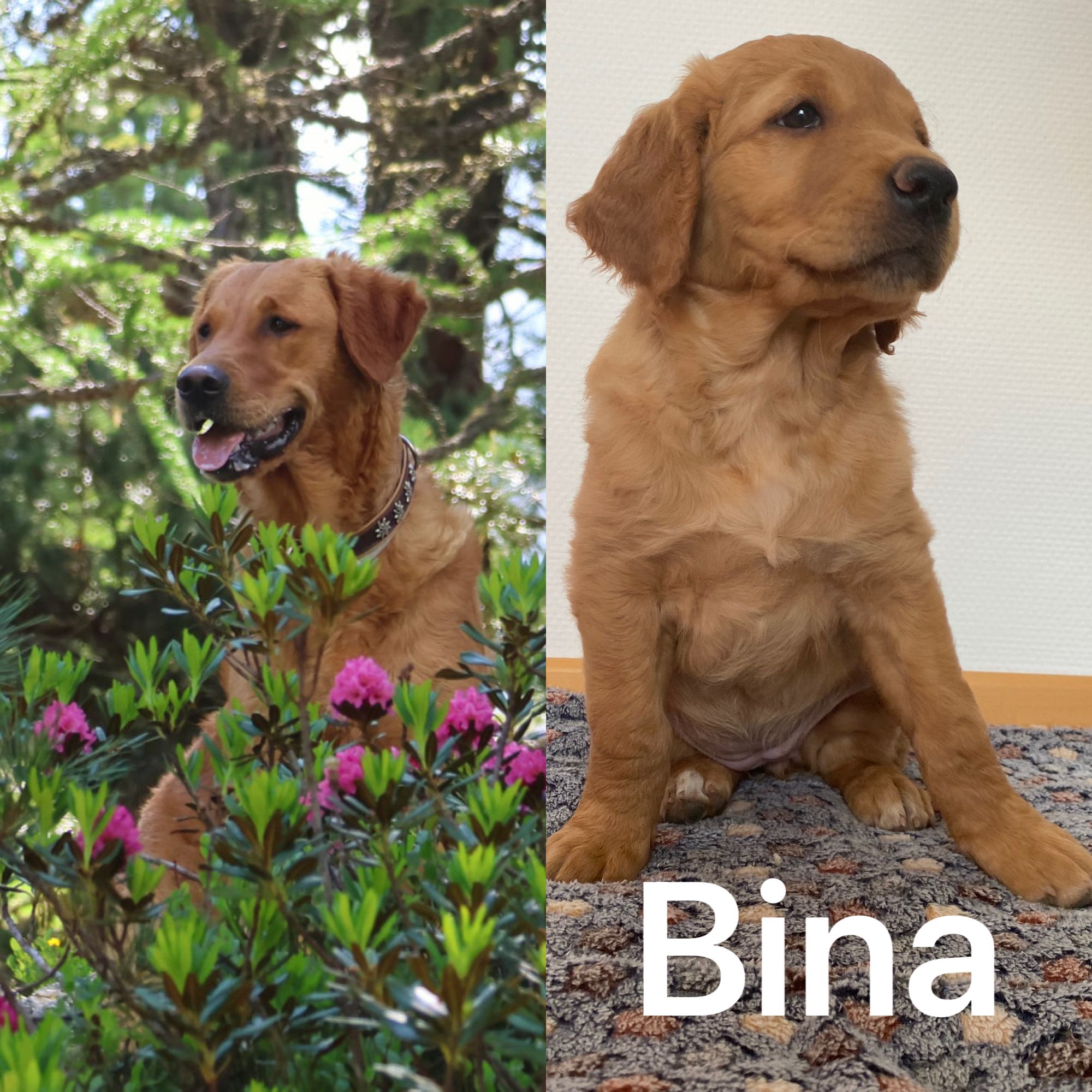 Phinegean Kind Bina Remy 1 Jahr alt