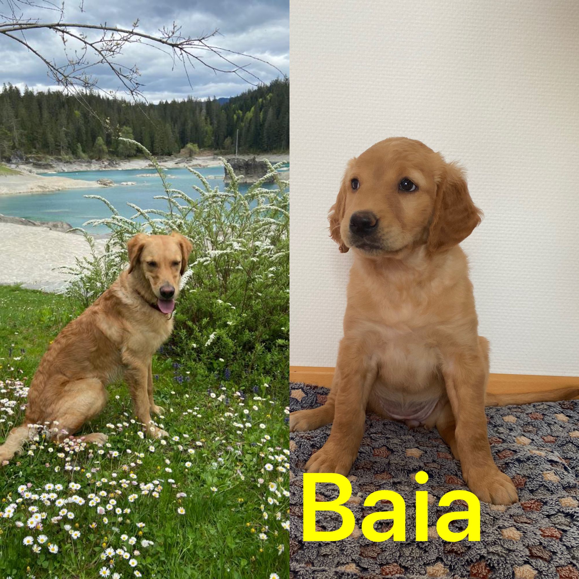 Phinegean Kind Baia 1 Jahr alt