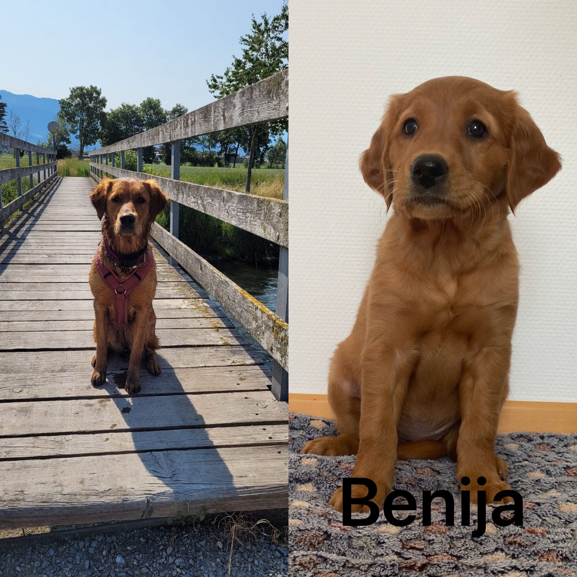 Phinegean Kind Banija 1 Jahr alt