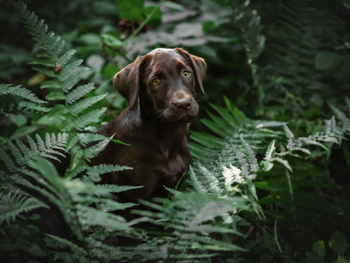 Wenn sie dich einfach nur Stolz&nbsp;machen