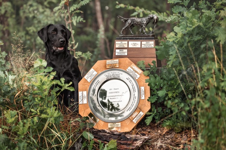 Uma hat 2022 das beste Ergebnis bei einer VPS mit 200 von 200 Punkten abgeliefert und zudem die Schweißarbeit im 1. Preis gearbeitet - Für beide Leistungen hat Uma jeweils den Ehrenpokal erhalten.