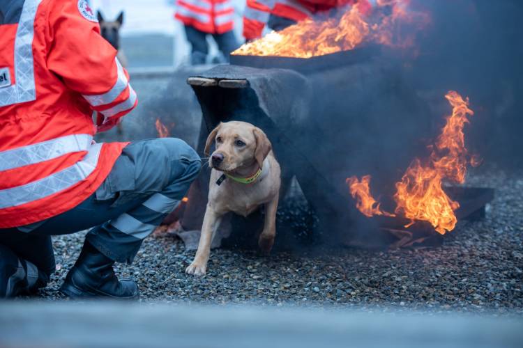Flying Huntsman Arthemis auf der Ìbo Messe in Friedrichshafen