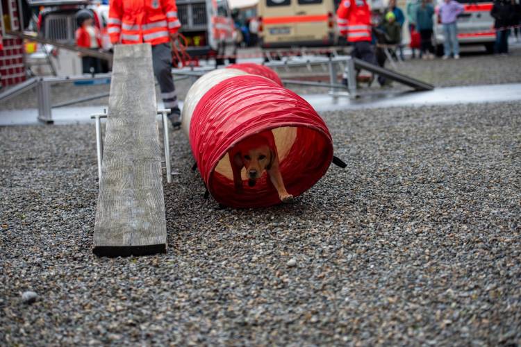 Flying Huntsman Arthemis auf der Ìbo Messe in Friedrichshafen
