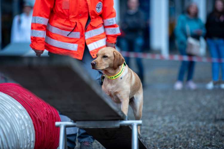 Flying Huntsman Arthemis auf der Ìbo Messe in Friedrichshafen