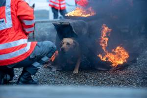 Flying Huntsman Arthemis auf der Ìbo Messe in Friedrichshafen