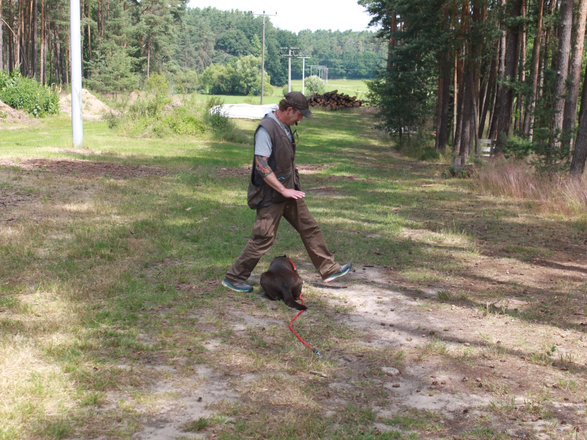 Wenn sie dich einfach nur Stolz&nbsp;machen