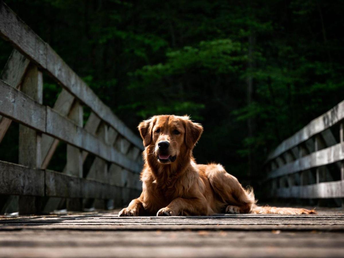 Wenn sie dich einfach nur Stolz&nbsp;machen