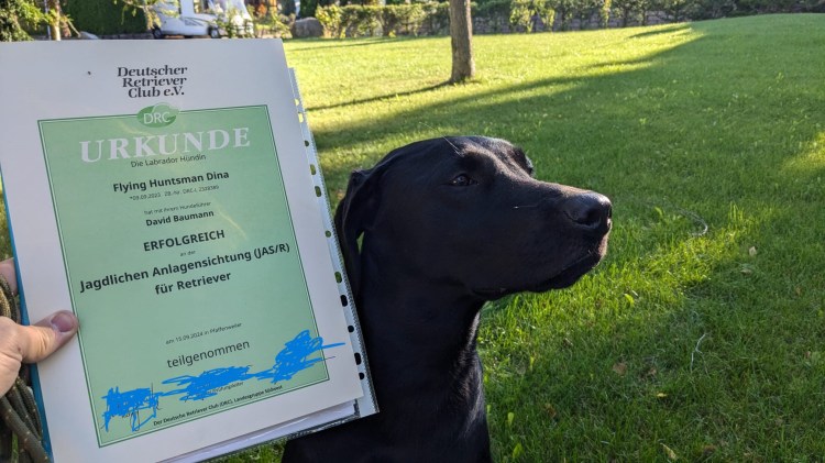 FH Dina besteht die JAS