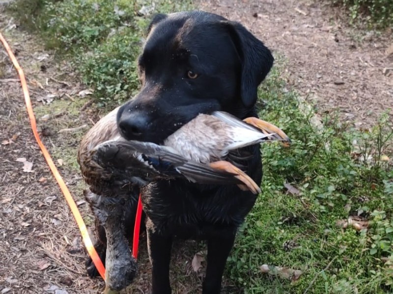 Wenn sie dich einfach nur Stolz&nbsp;machen