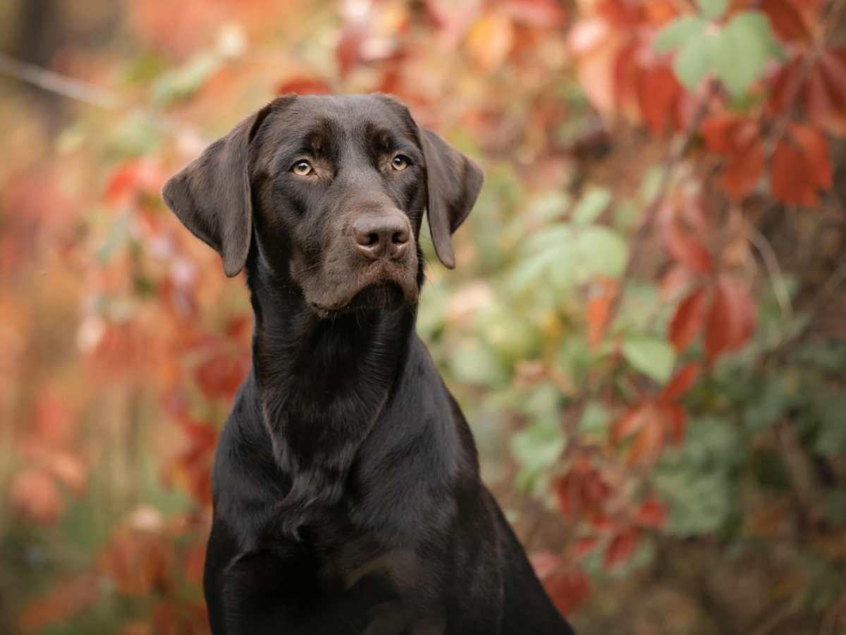 Wenn sie dich Stolz&nbsp;machen
