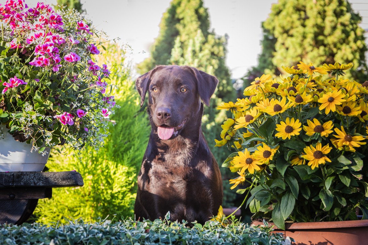 Der Lightning Huntsman A-Wurf nimmt Fahrt&nbsp;auf