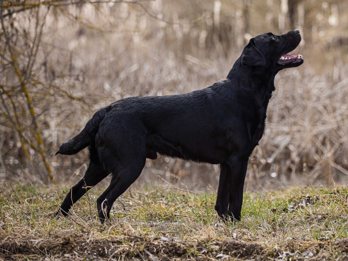 Wenn sie dich einfach nur Stolz&nbsp;machen