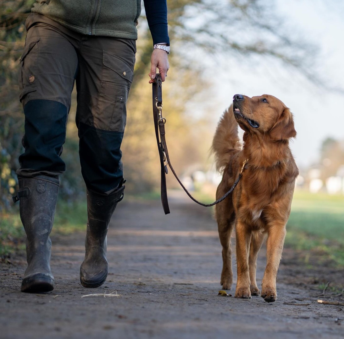 Mira et fida anima Efferus Elvis