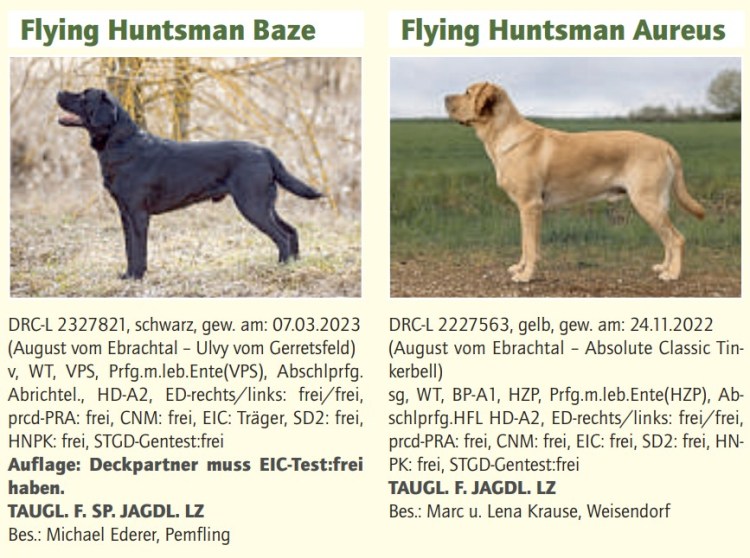 Wenn sie dich Stolz&nbsp;machen