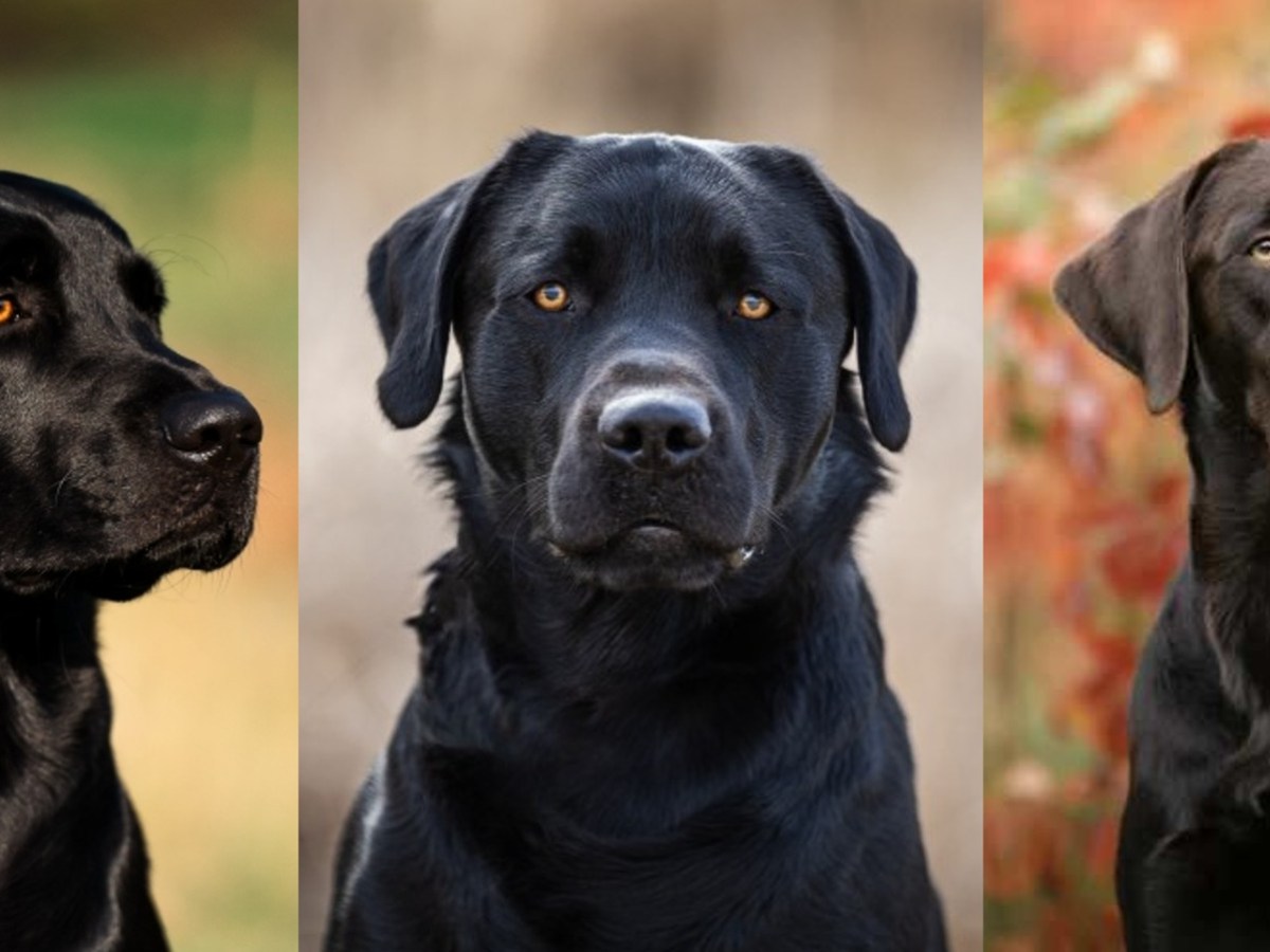 Großartige Neuigkeiten