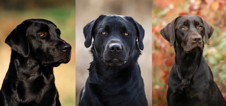 Großartige Neuigkeiten