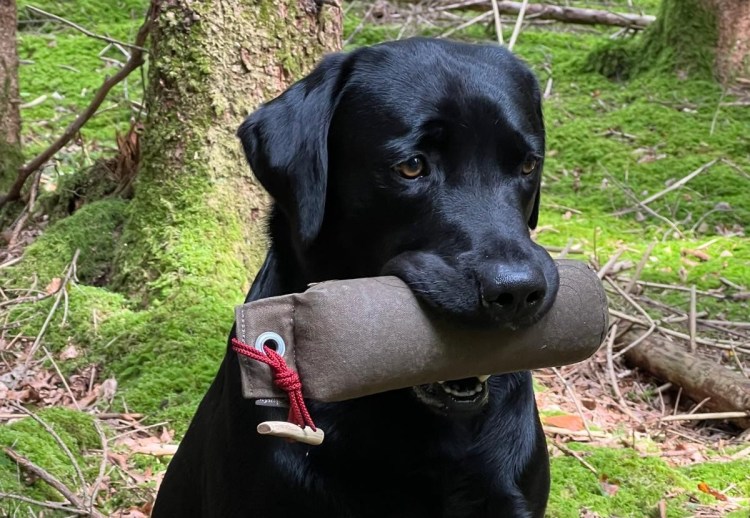 Wenn sie dich Stolz&nbsp;machen