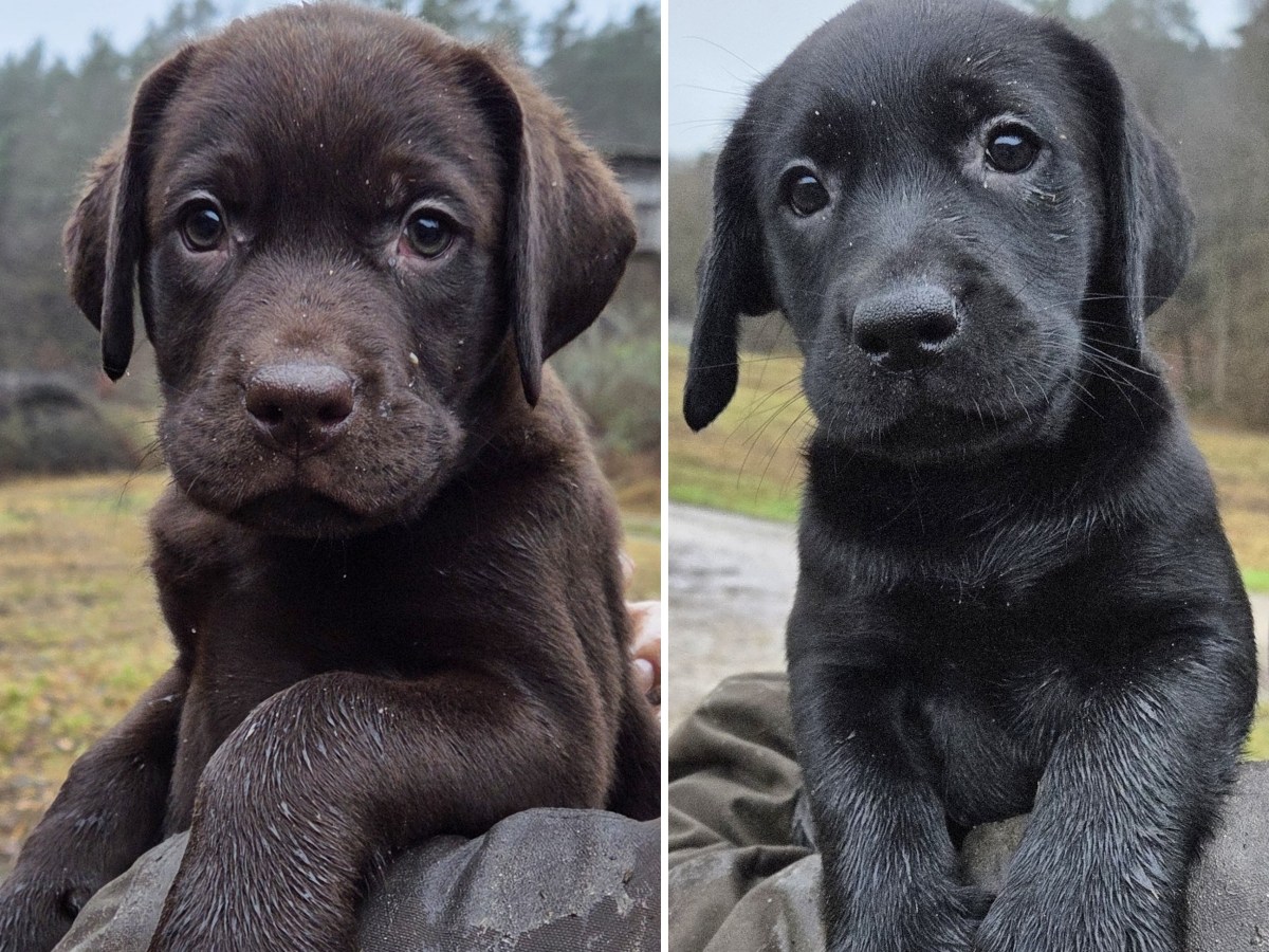 Lieblingsmenschen gefunden