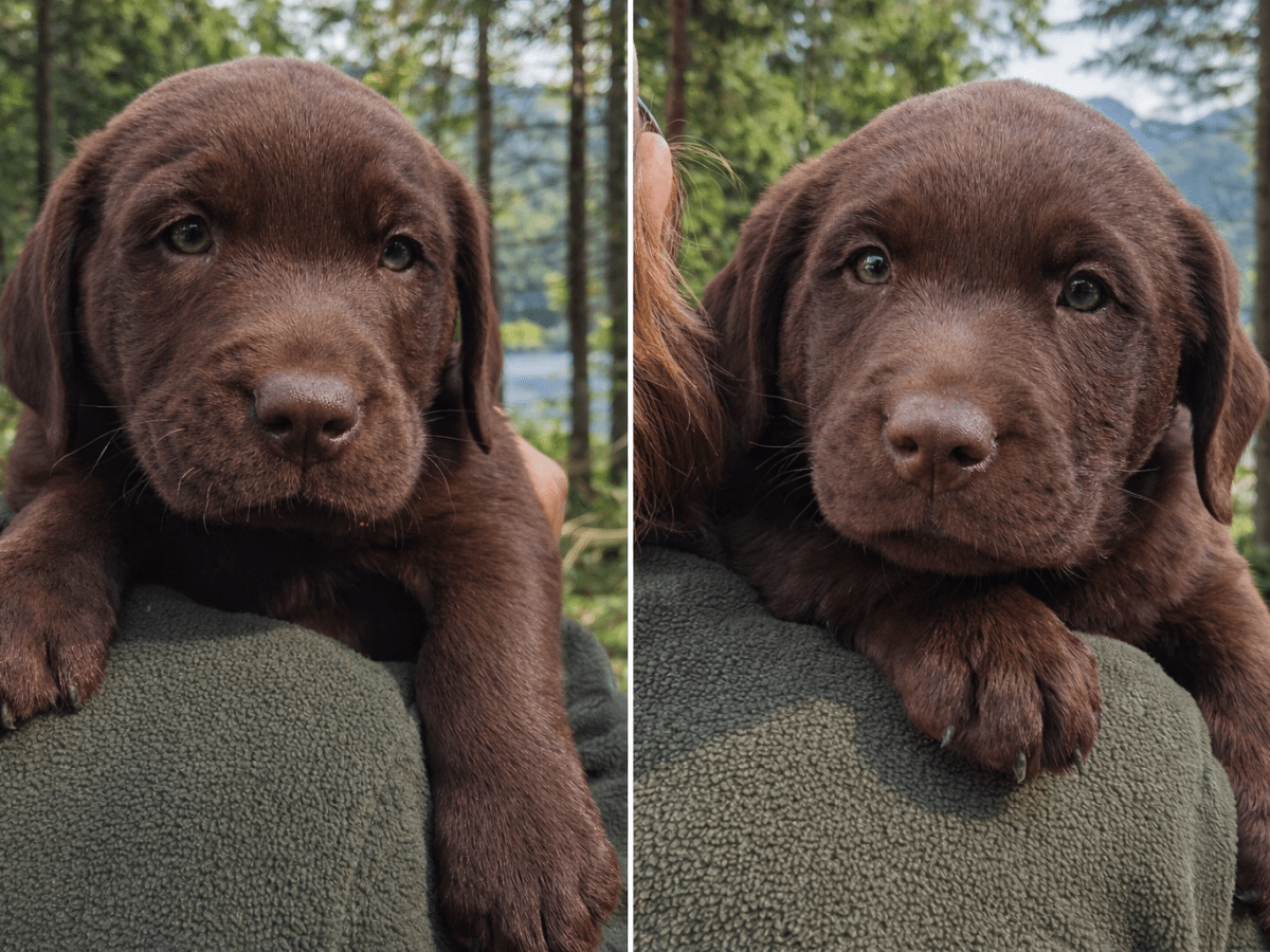 Lieblingsmenschen gesucht