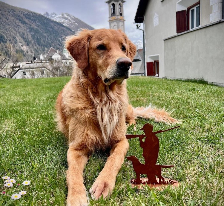 Phinegean Sohn Lucky Golden Star Bailey